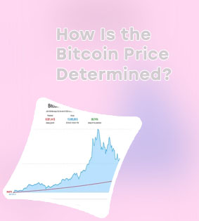 How much is a share of bitcoin