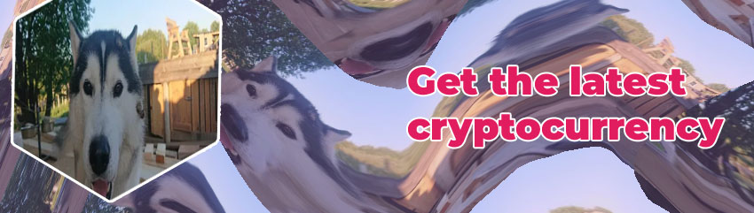Husky x cryptocurrency