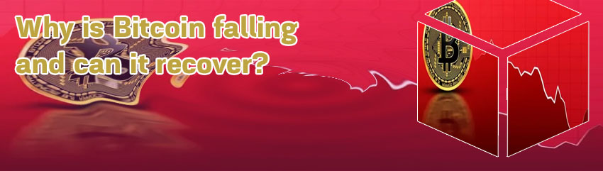 Is bitcoin up or down