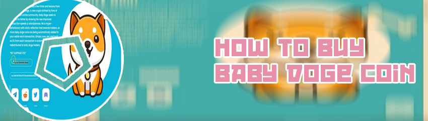 Where to buy baby doge crypto
